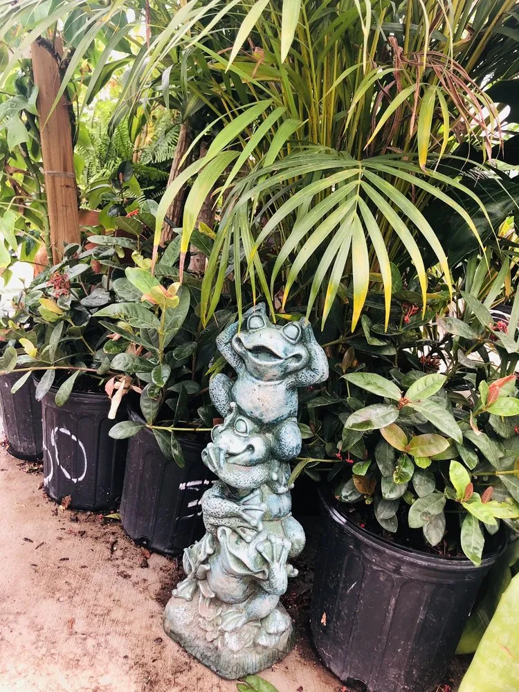 Expert outdoor landscaping experts serving Phoenix, AZ - Whitfill Nurseries