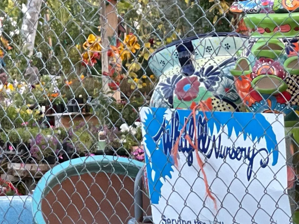 Local landscaping services near you across Phoenix, AZ - Whitfill Nurseries