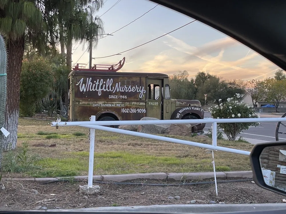 Expert yard cleanup service in Phoenix, AZ by Whitfill Nurseries