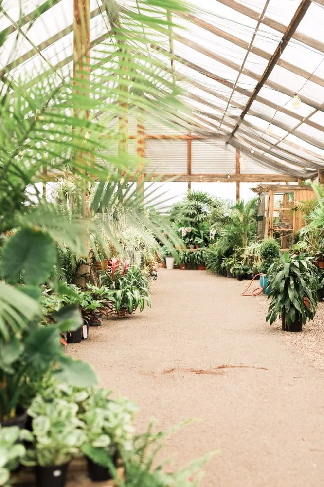 Trusted lawn mowing service for residential properties across Phoenix, AZ - Whitfill Nursery