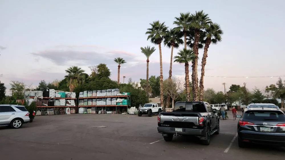 Reliable residential landscaping in Phoenix, AZ - Whitfill Nursery