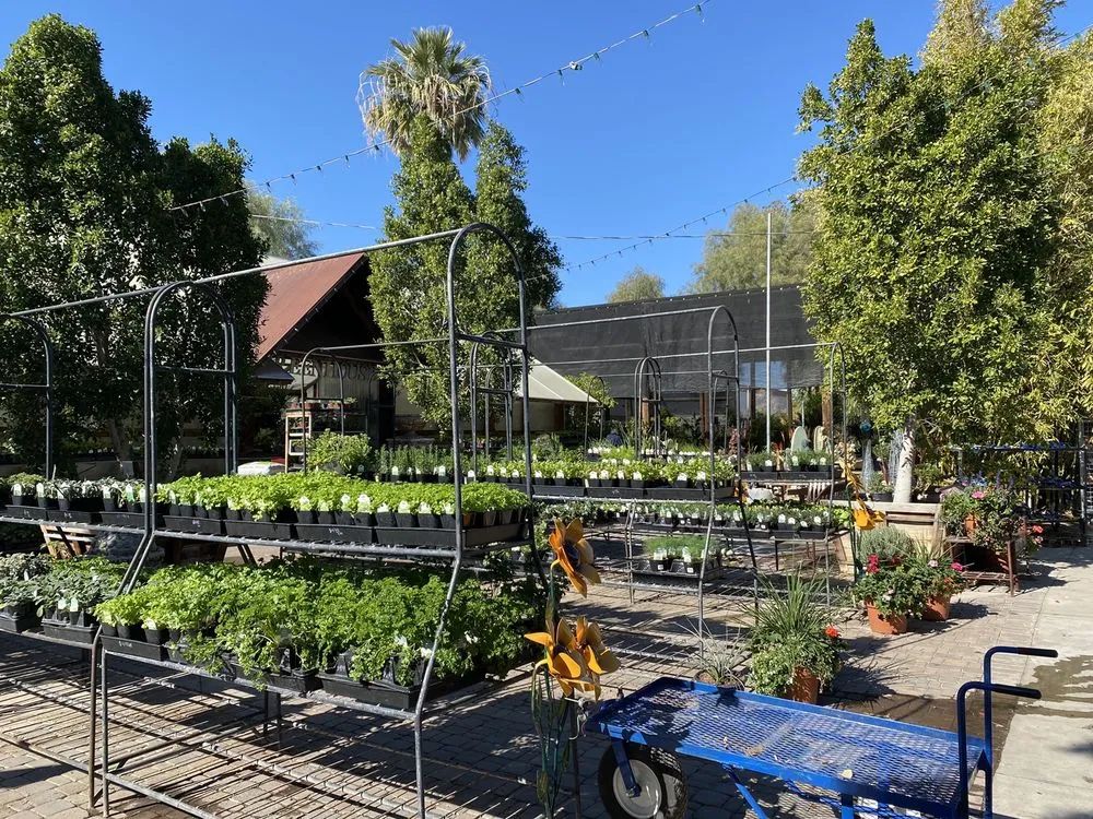 Affordable garden landscaping experts serving Phoenix, AZ - Whitfill Nursery