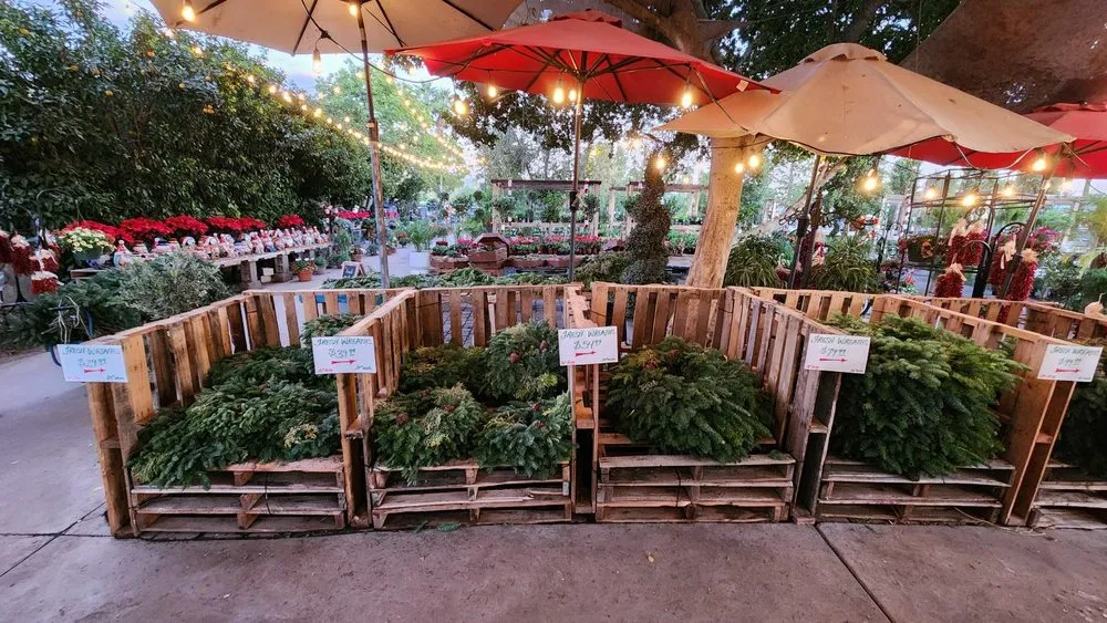 Professional outdoor landscaping for homes in Phoenix, AZ by Whitfill Nursery