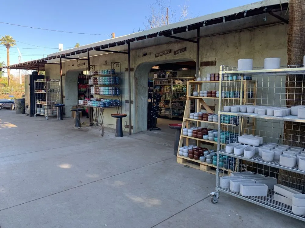 Trusted yard maintenance in Phoenix, AZ - Whitfill Nursery