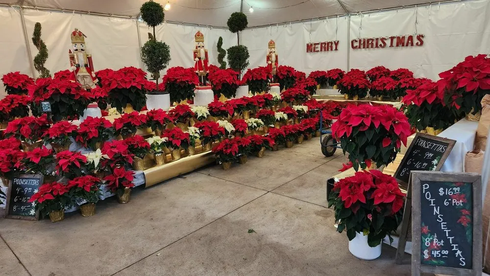 Expert landscaping services experts serving Phoenix, AZ - Whitfill Nursery