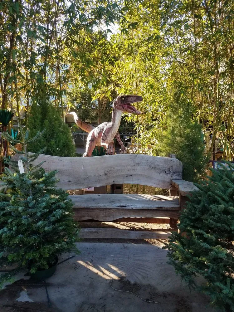 Custom landscape design for homes in Phoenix, AZ by Whitfill Nursery