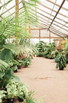 Whitfill Nursery Logo