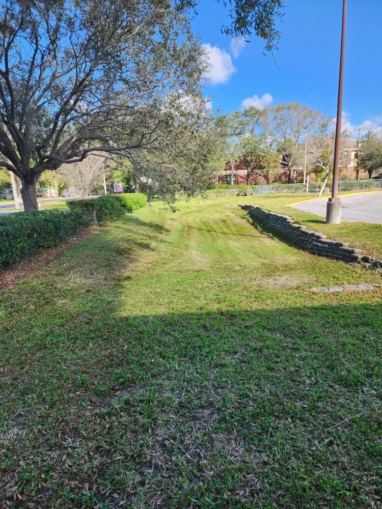 Professional residential landscaping experts serving Spring Hill, FL - Whiting Tree Removal And Landclearing