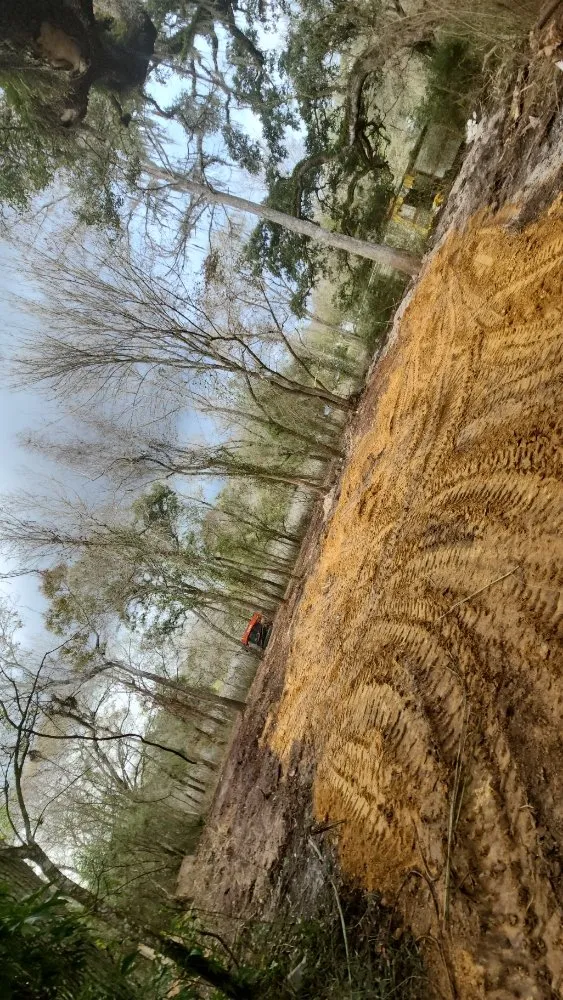 Expert lawn care service with custom design in Spring Hill, FL by Whiting Tree Removal And Landclearing