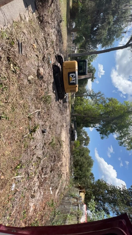 Expert lawn care service for residential properties across Spring Hill, FL - Whiting Tree Removal And Landclearing