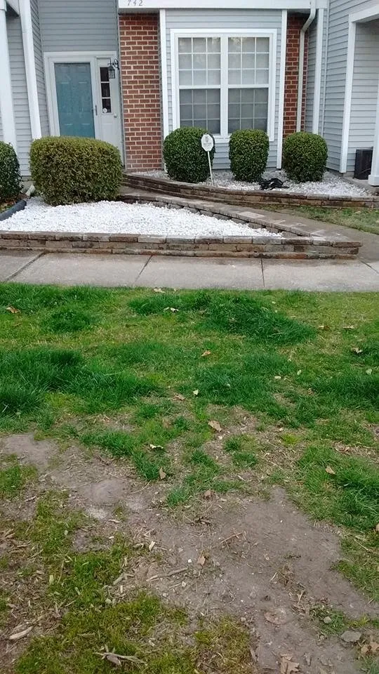 Expert yard cleanup service in Smithfield, VA - Whitley's lawn services