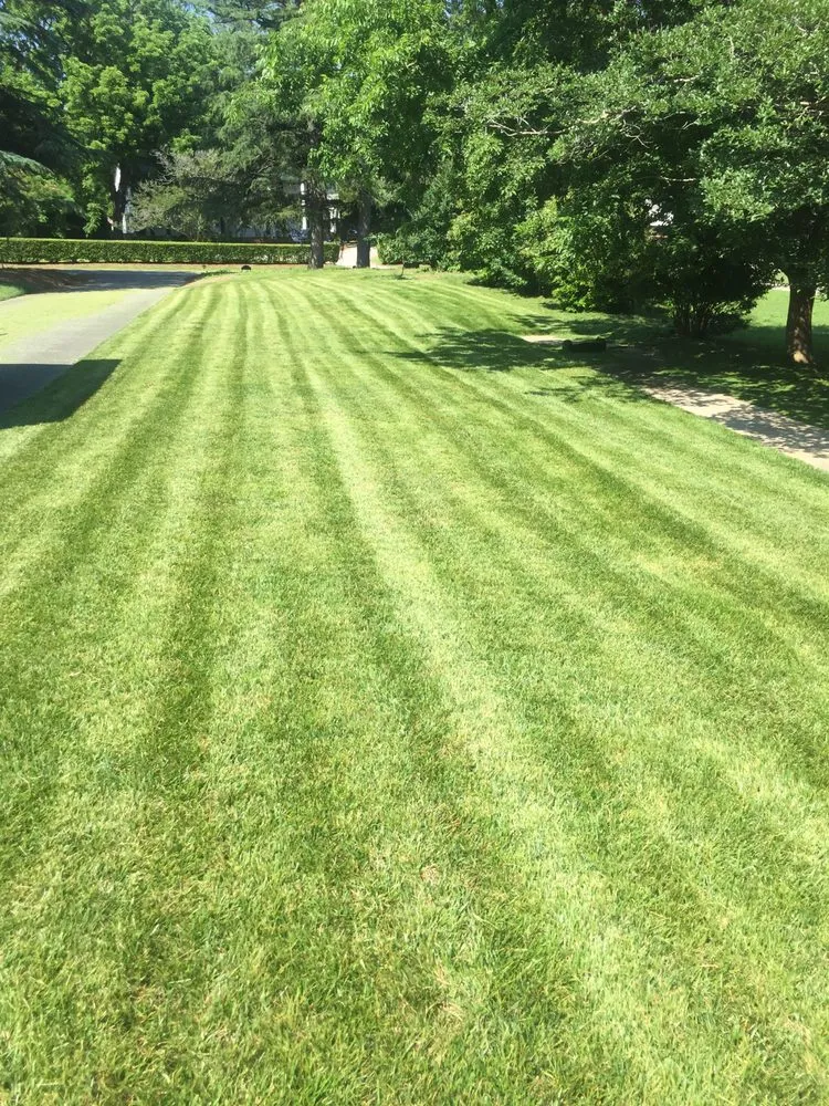 Expert landscaping services with custom design across Smithfield, VA - Whitley's lawn services