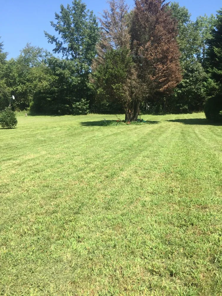 Professional landscape design for residential properties across Smithfield, VA - Whitley's lawn services