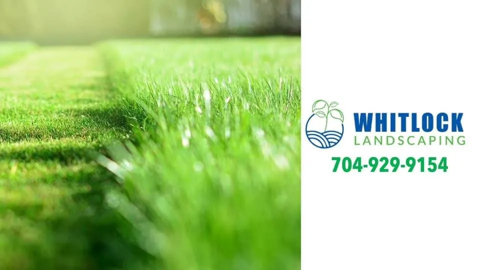 Reliable landscape design in Statesville, NC - whitlock landscaping