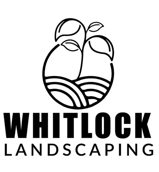 Expert yard cleanup service in Statesville, NC by whitlock landscaping