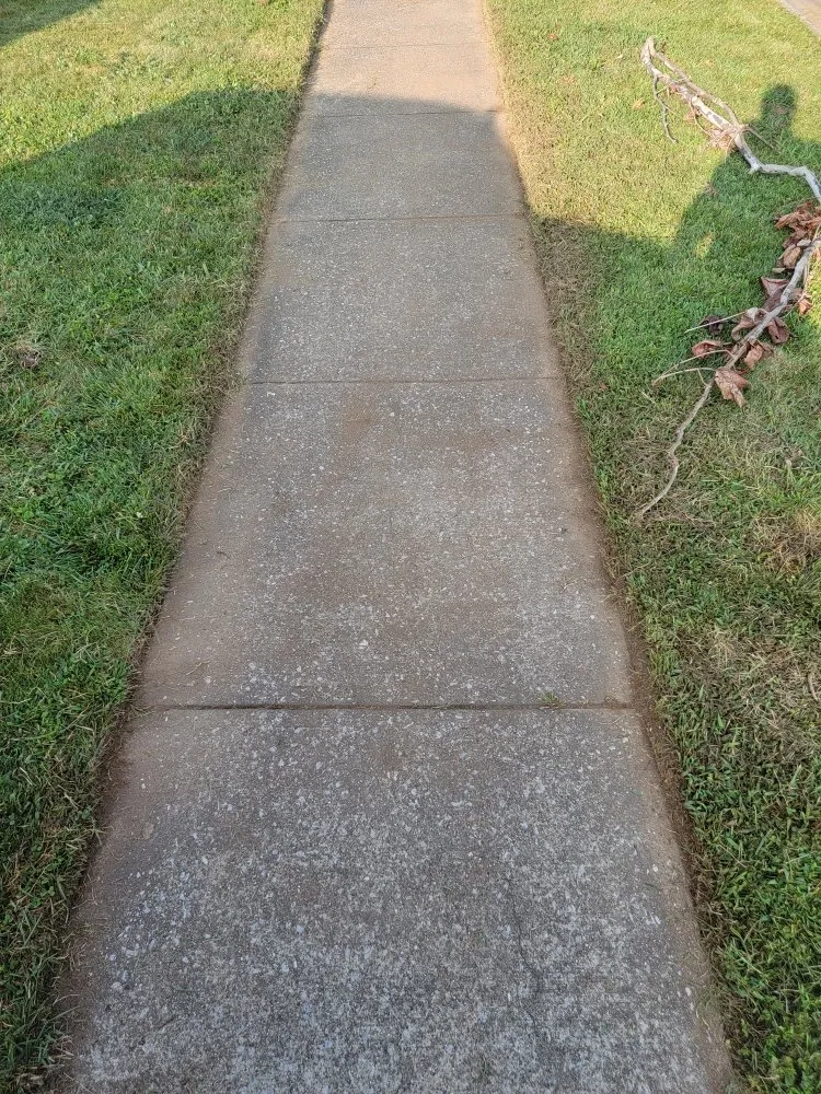 Reliable yard cleanup service in Lexington-Fayette, KY - Whitlock Lawn Services