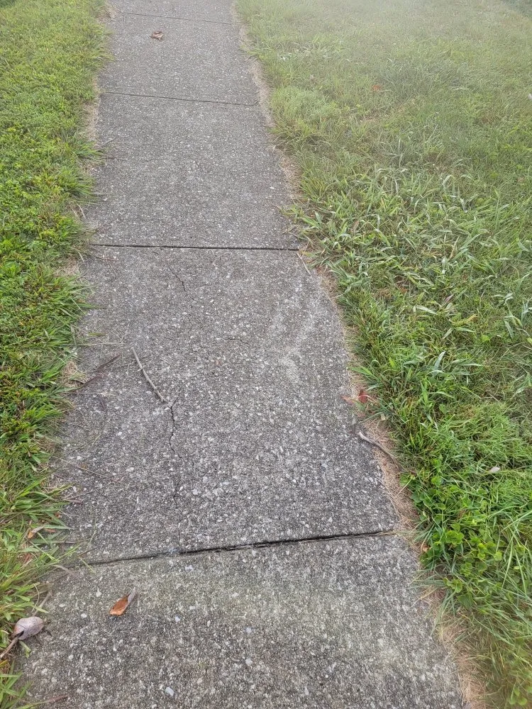 Reliable yard cleanup service experts serving Lexington-Fayette, KY - Whitlock Lawn Services