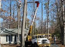 Expert landscape design in Quinton, VA - Whitlow Landscaping & Design