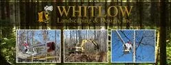 Whitlow Landscaping & Design Logo