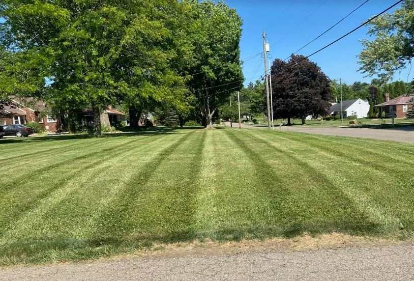 Local yard cleanup service in Canton, OH - Whitmer's Lawncare and Landscape