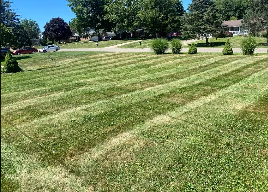 Top-rated landscape installation experts serving Canton, OH - Whitmer's Lawncare and Landscape