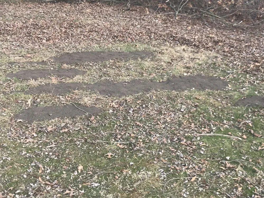 Professional garden landscaping experts serving Canton, OH - Whitmer's Lawncare and Landscape