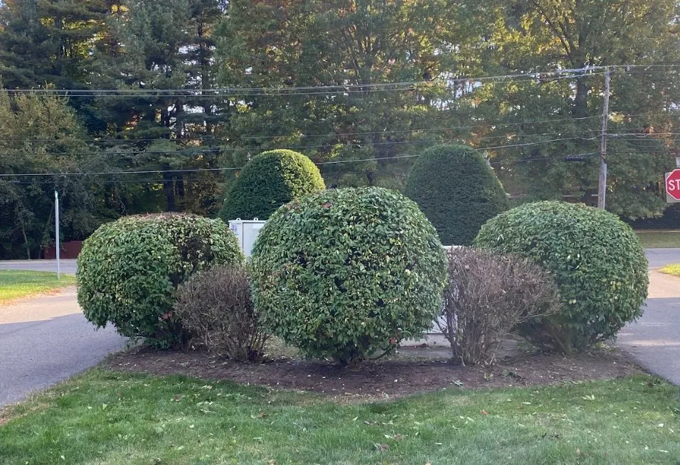 Custom outdoor landscaping in Canton, OH - Whitmer's Lawncare and Landscape