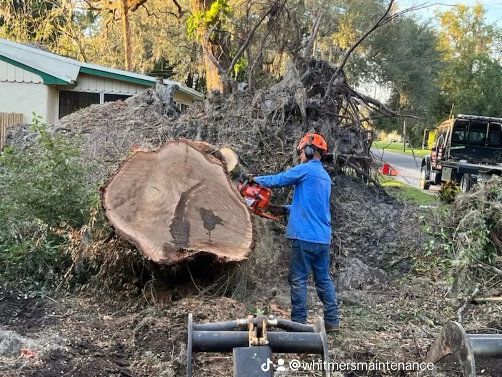 Affordable yard cleanup service near you across Thonotosassa, FL - Whitmers Property Maintenance