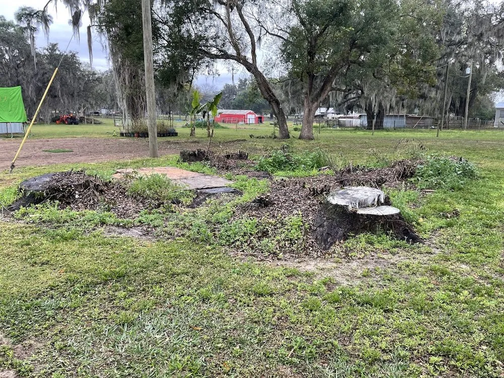 Top-rated landscape design for residential properties across Thonotosassa, FL - Whitmers Property Maintenance