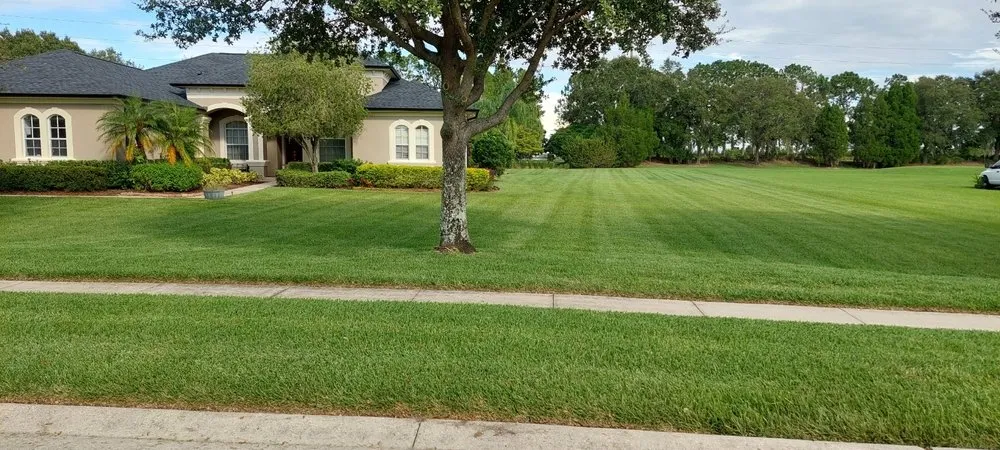 Expert landscape installation for outdoor upgrades in Thonotosassa, FL by Whitmers Property Maintenance