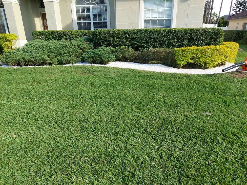 Top-rated residential landscaping in Thonotosassa, FL - Whitmers Property Maintenance