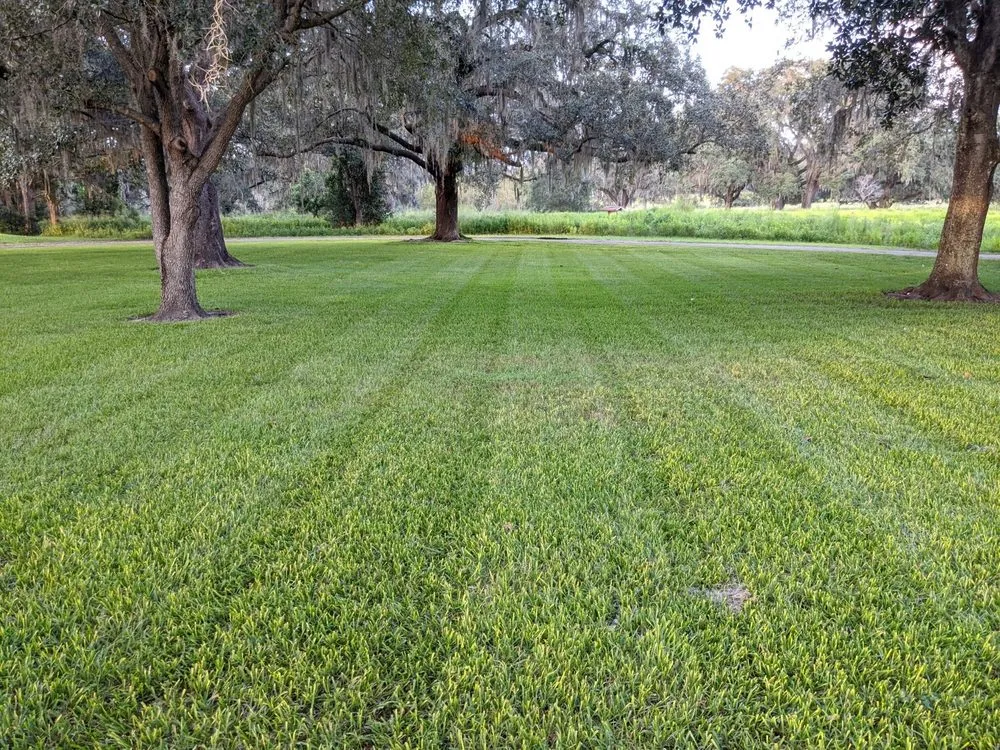 Local landscaping services for outdoor upgrades in Thonotosassa, FL by Whitmers Property Maintenance