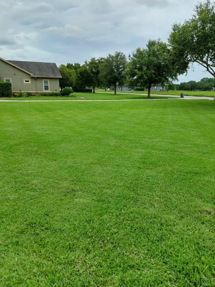 Custom landscaping services experts serving Thonotosassa, FL - Whitmers Property Maintenance