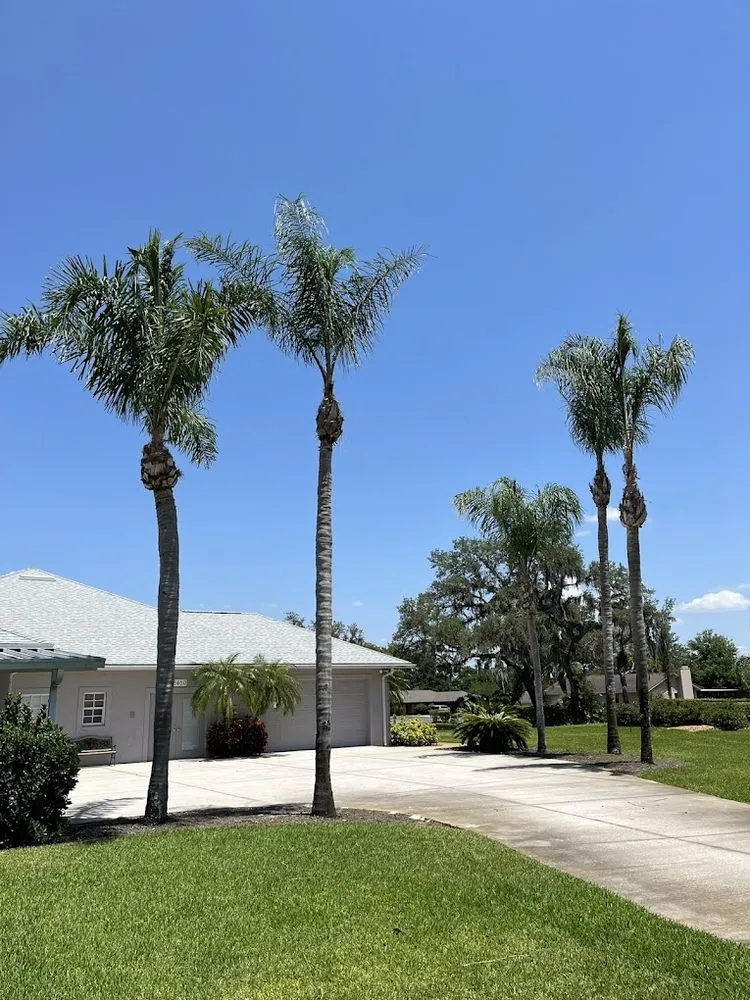 Affordable garden landscaping in Thonotosassa, FL by Whitmers Property Maintenance