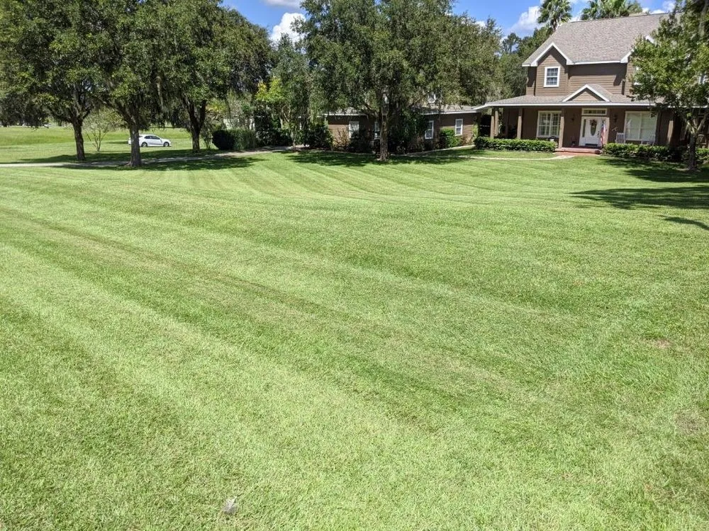 Affordable lawn mowing service in Thonotosassa, FL by Whitmers Property Maintenance