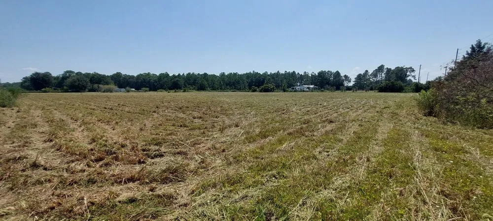 Custom garden landscaping in Thonotosassa, FL - Whitmers Property Maintenance