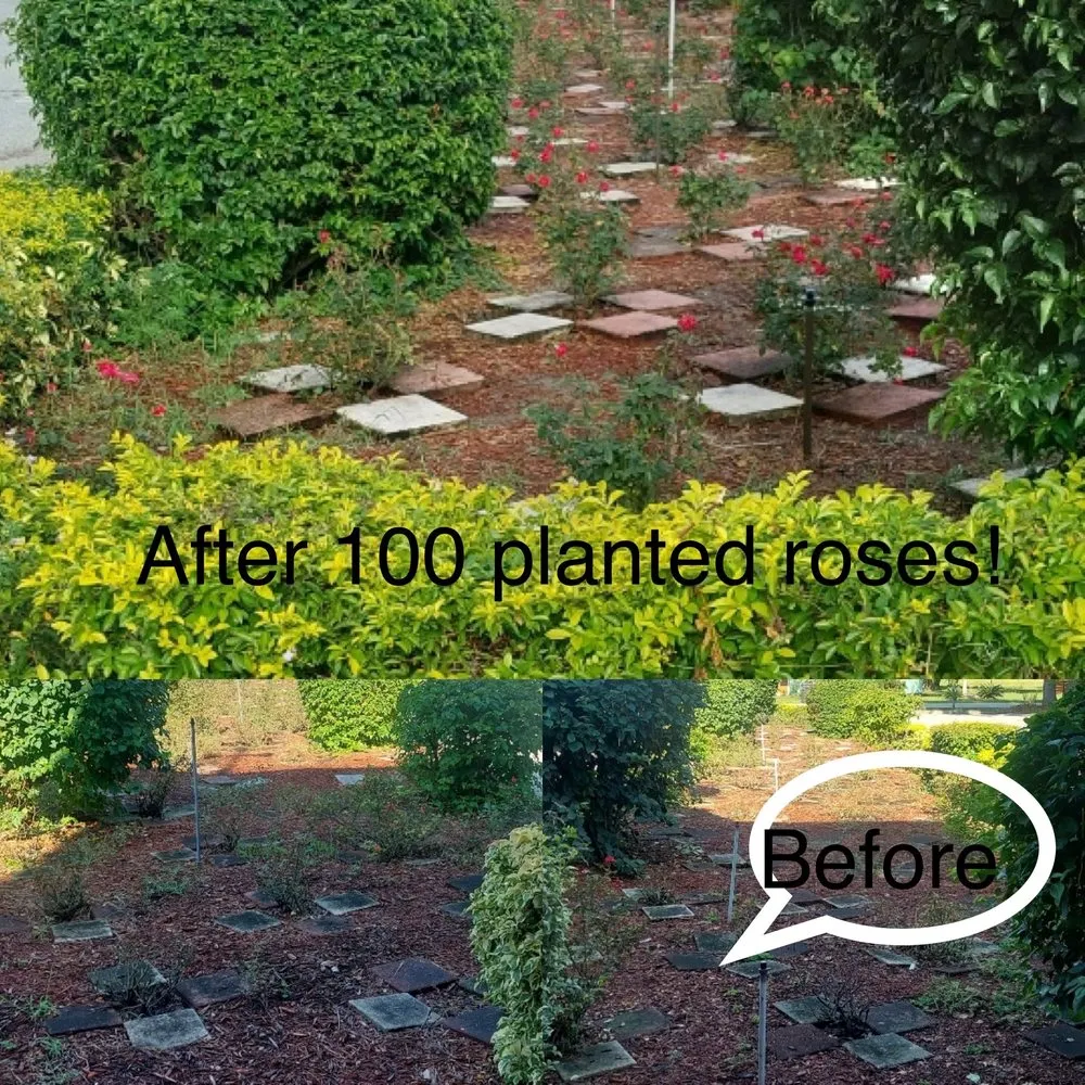 Expert landscaping services in Thonotosassa, FL - Whitmers Property Maintenance