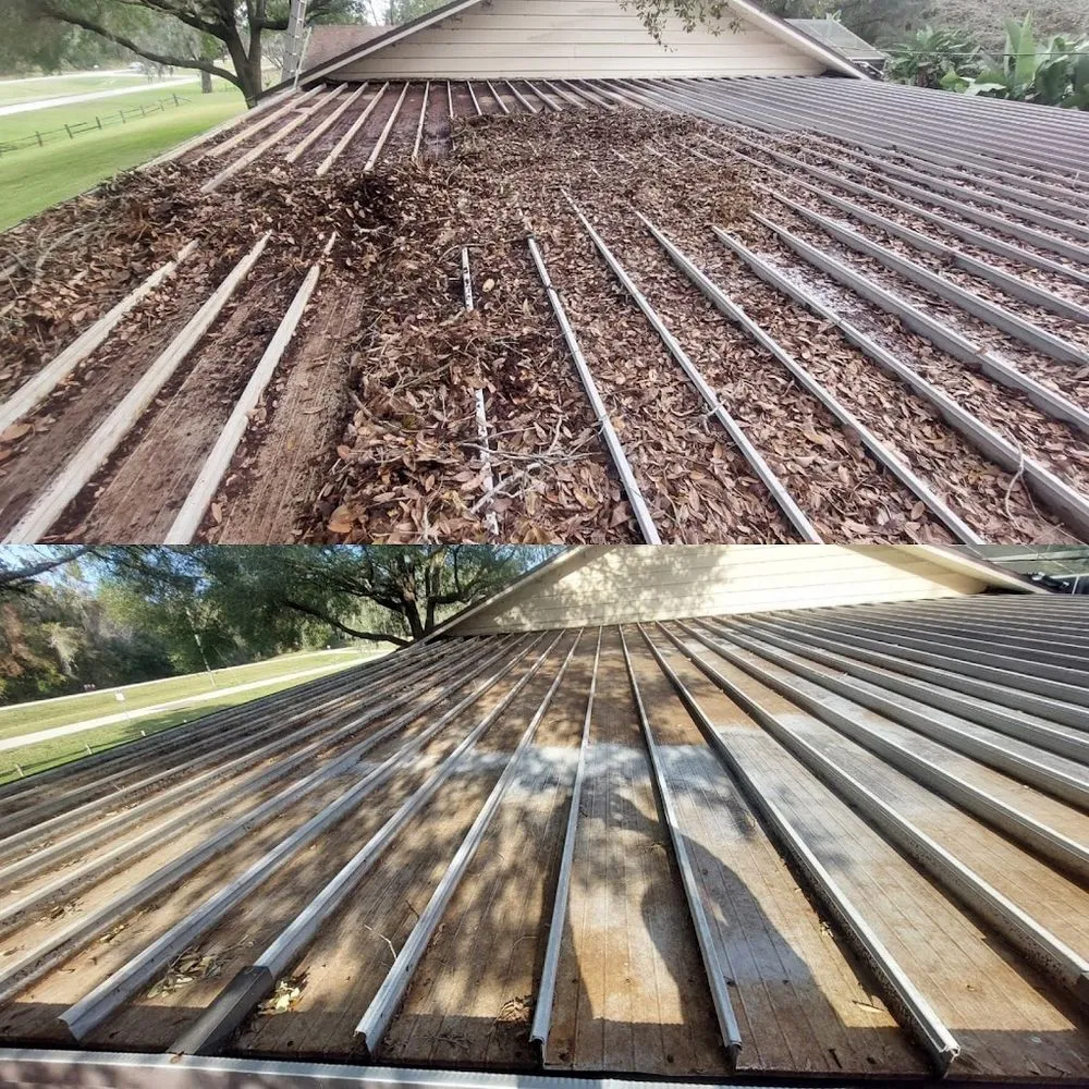 Professional landscaping services in Thonotosassa, FL - Whitmers Property Maintenance