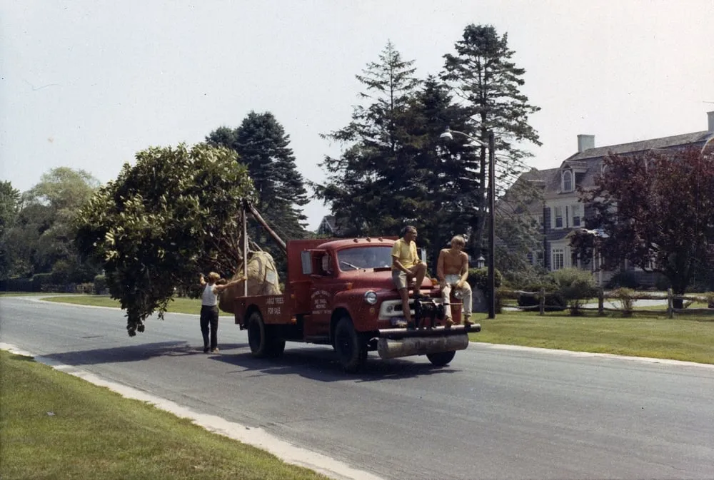 Custom lawn care service in East Hampton, NY by Whitmores Landscaping