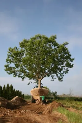 Whitmores Landscaping Logo