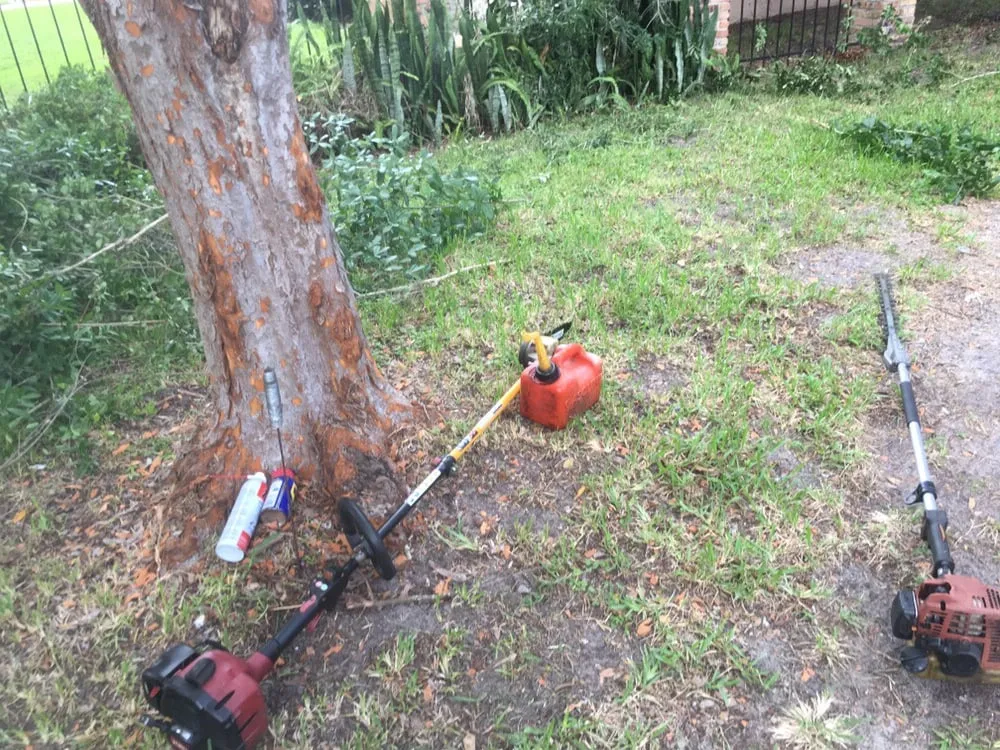 Expert landscape installation near you in Orlando, FL by Whitmore's Landscaping Services