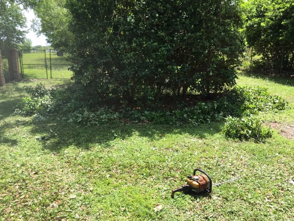 Affordable garden landscaping in Orlando, FL - Whitmore's Landscaping Services