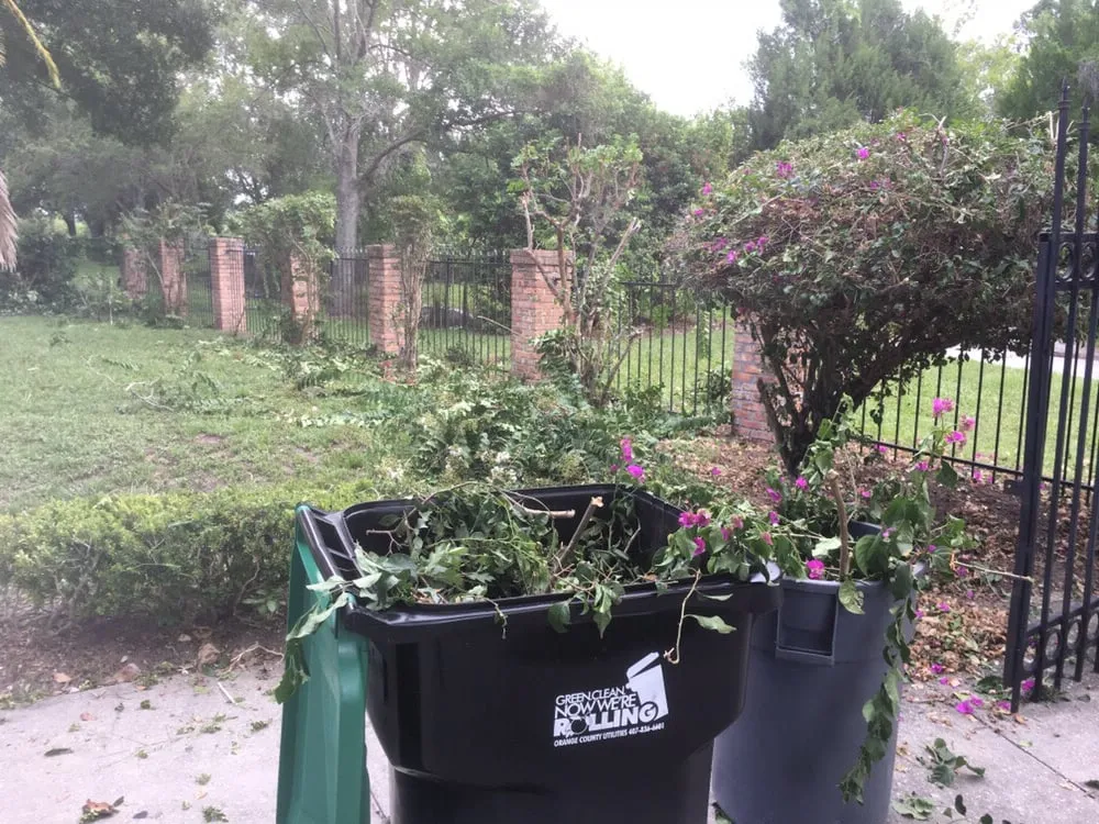 Trusted yard cleanup service for outdoor upgrades in Orlando, FL by Whitmore's Landscaping Services