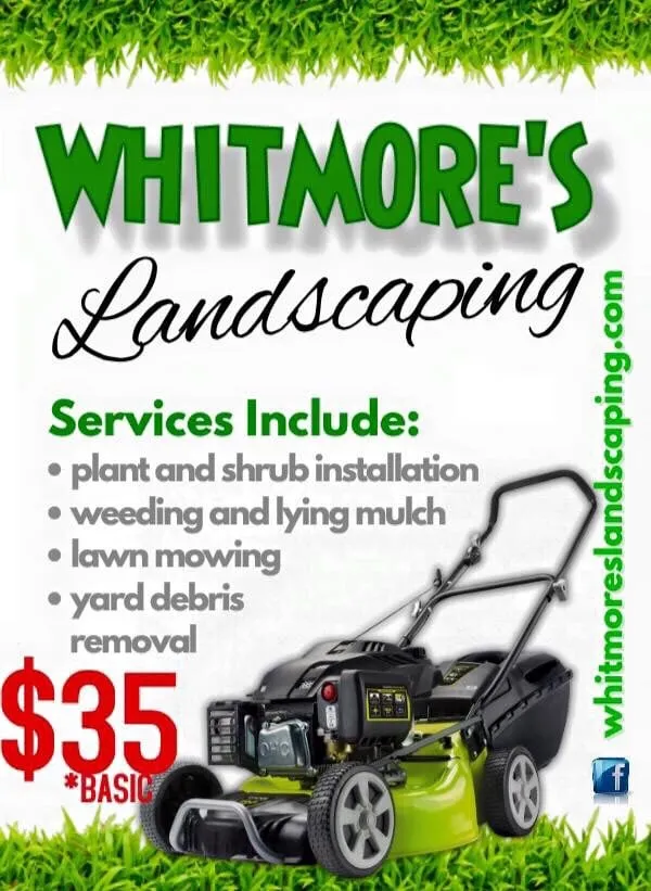 Custom lawn care service experts serving Orlando, FL - Whitmore's Landscaping Services