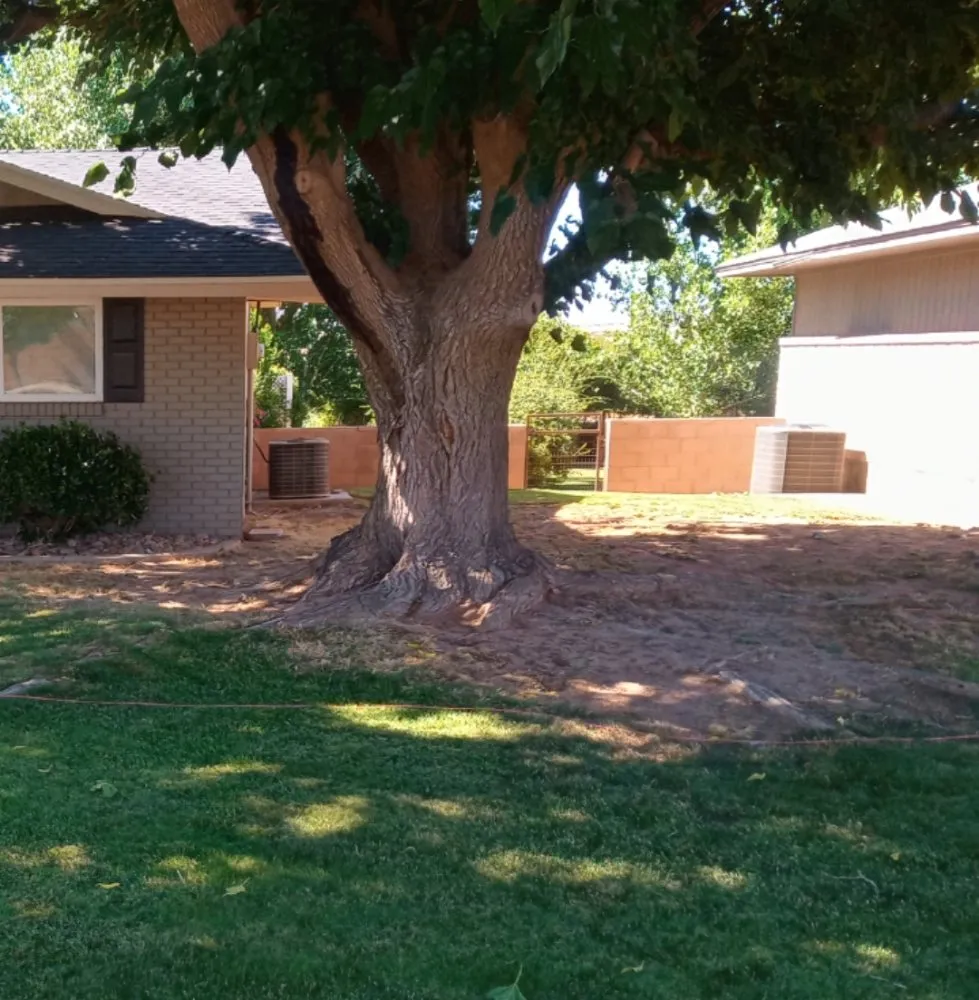 Expert lawn mowing service for beautiful yards in St. George, UT by Whitney & Son Handyman