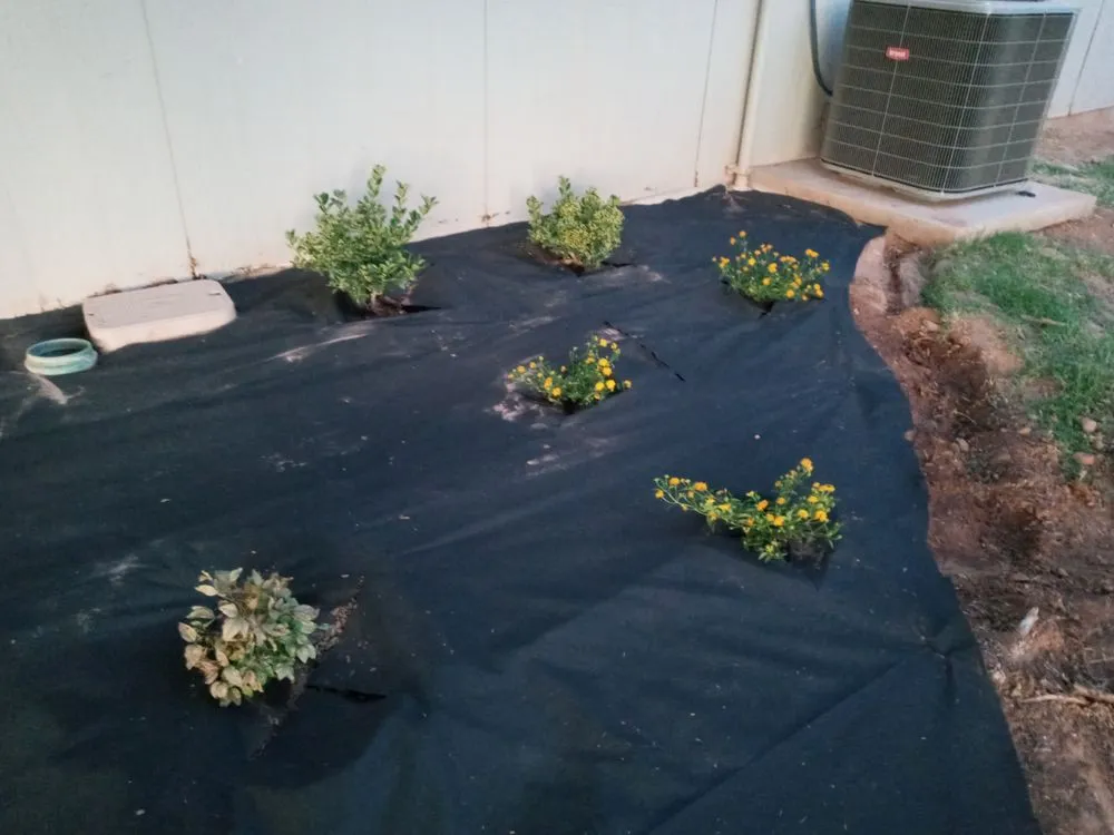 Custom yard maintenance experts serving St. George, UT - Whitney & Son Handyman