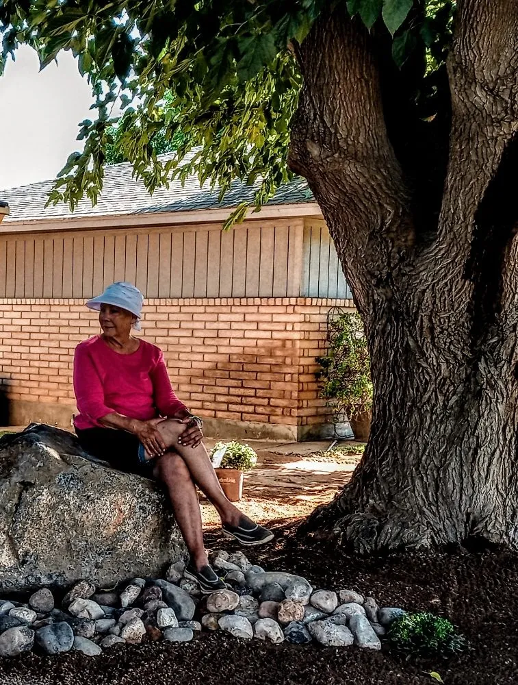 Custom landscape installation in St. George, UT by Whitney & Son Handyman