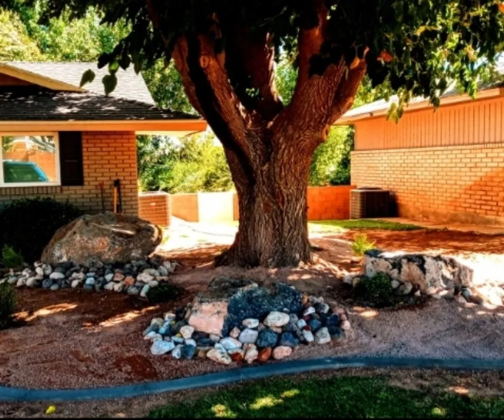 Professional yard cleanup service in St. George, UT - Whitney & Son Handyman