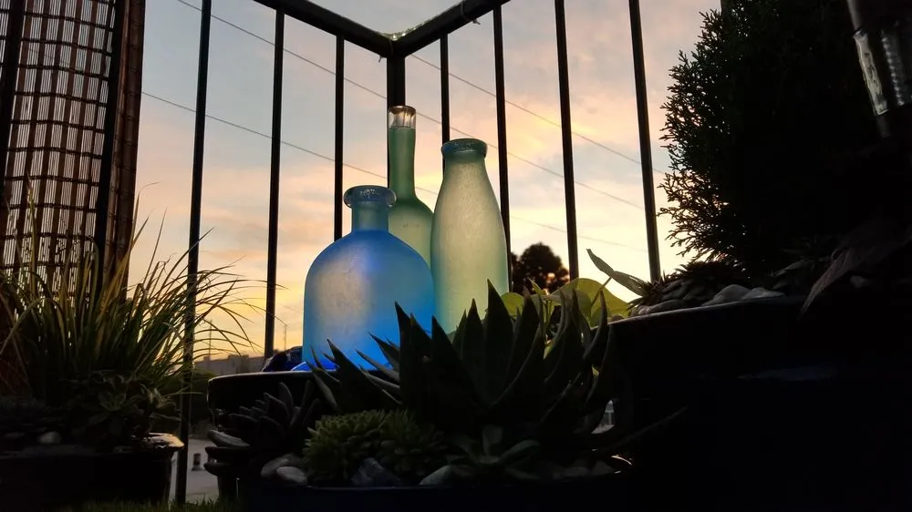 Custom yard maintenance in Los Angeles, CA - Whitney LAndscape LA