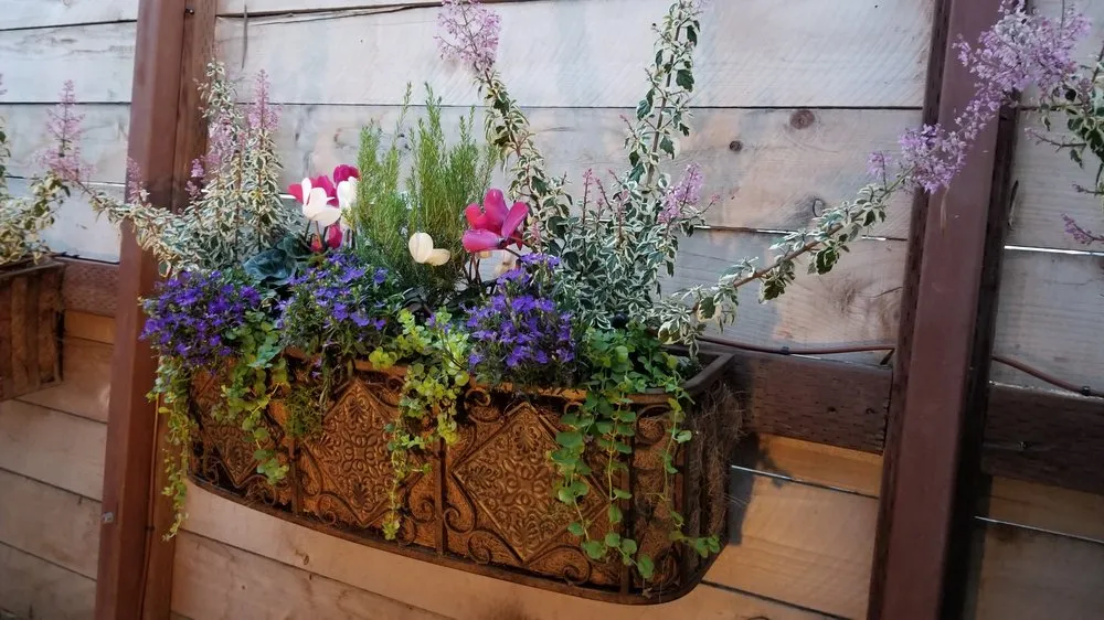 Top-rated garden landscaping for beautiful yards in Los Angeles, CA by Whitney LAndscape LA